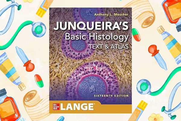 بررسی محتوای علمی و آموزشی 